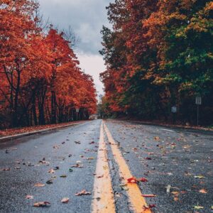 Elite Consultation & Mentorship